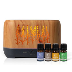 Aromatic Flame Humidifier